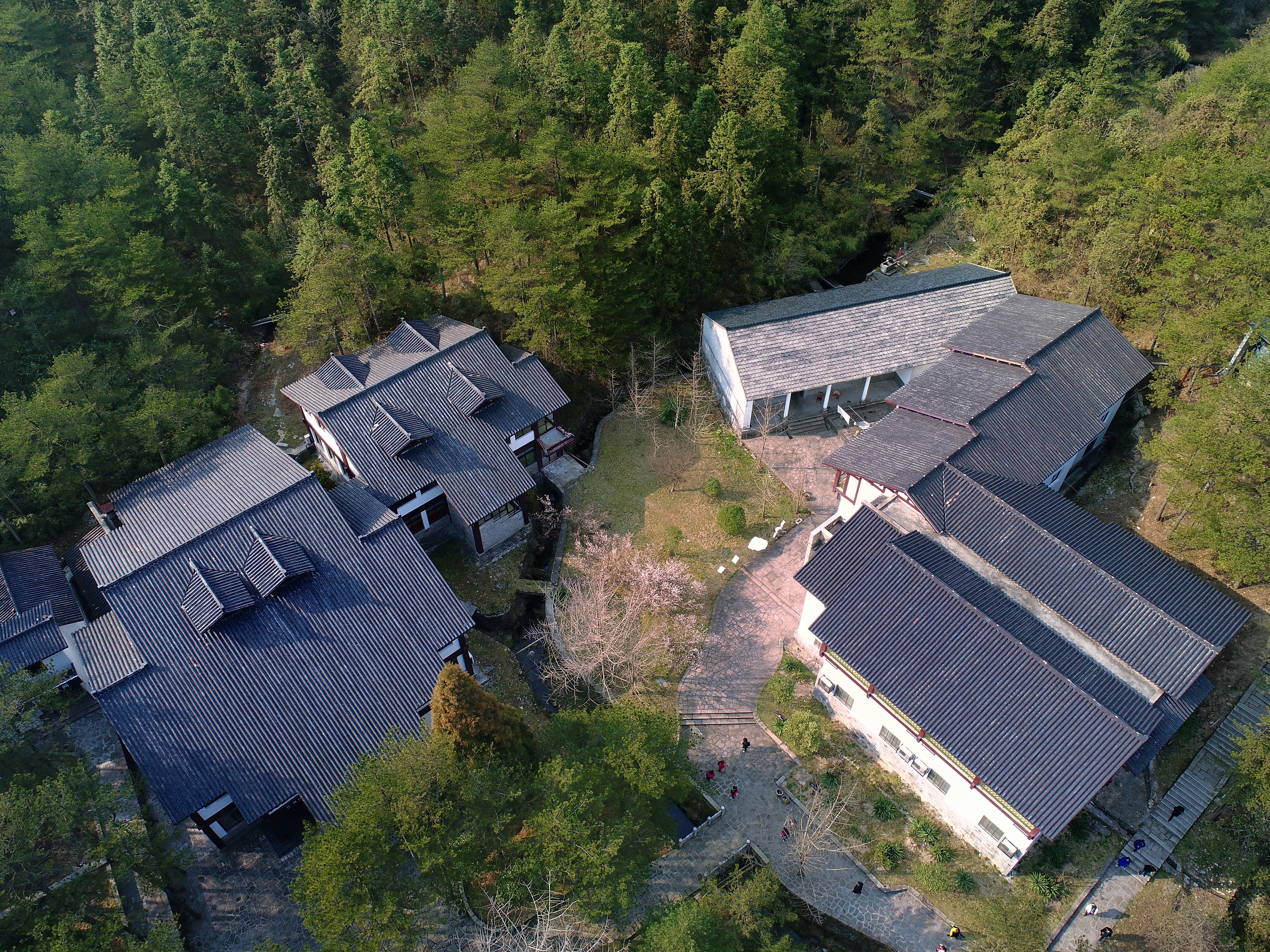 天柱山上面有酒店吗,普陀山上最美酒店