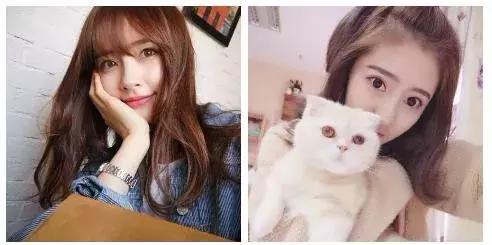 网红淘宝店铺货源怎么找的,淘宝便宜网红店铺是真的吗