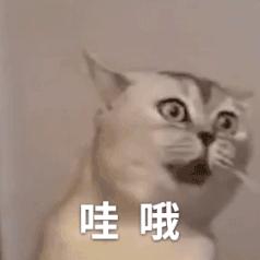 为什么日本的英文名只是japan,为什么日本翻译成英语是japan