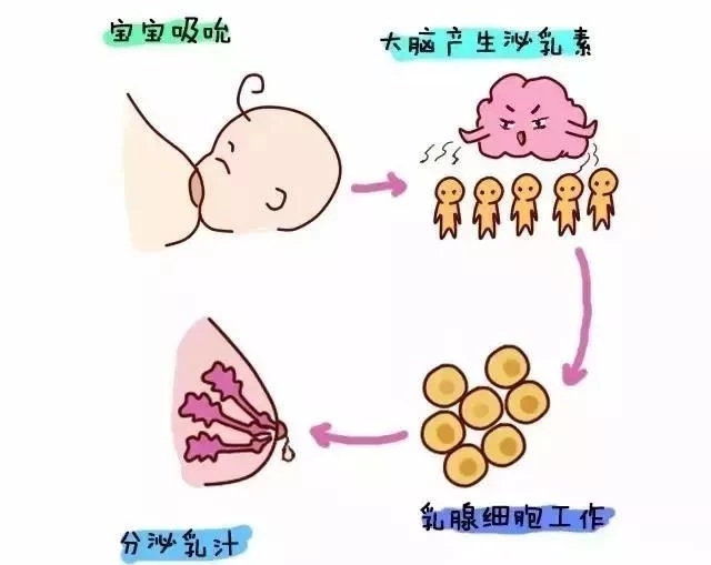 被气的回奶了怎么办,被气的奶变少怎么办