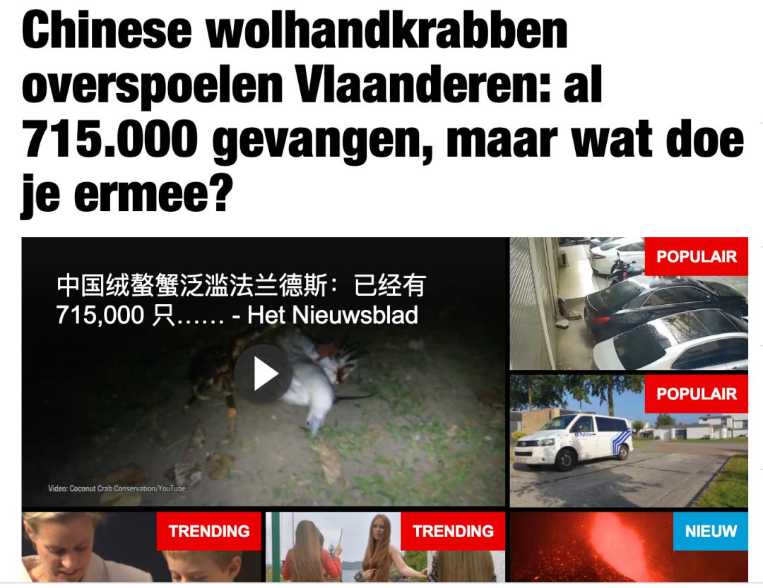 比利时大闸蟹成灾怎么回事,来聊聊野生海鲜