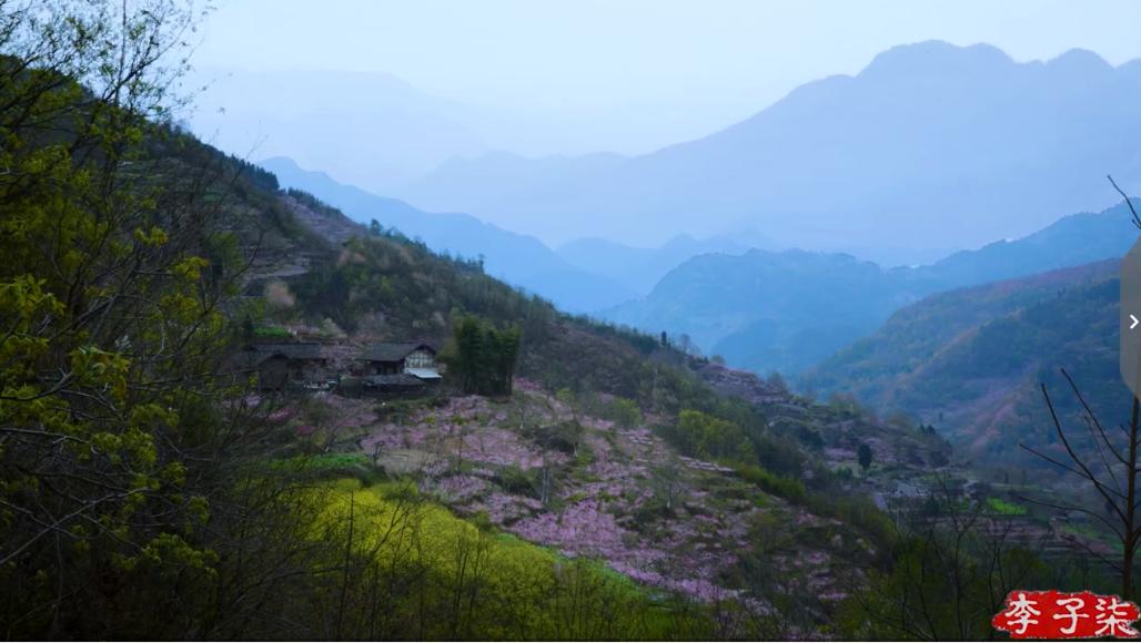 李子柒消失的55天鲜花宴,李子柒火到全球的视频