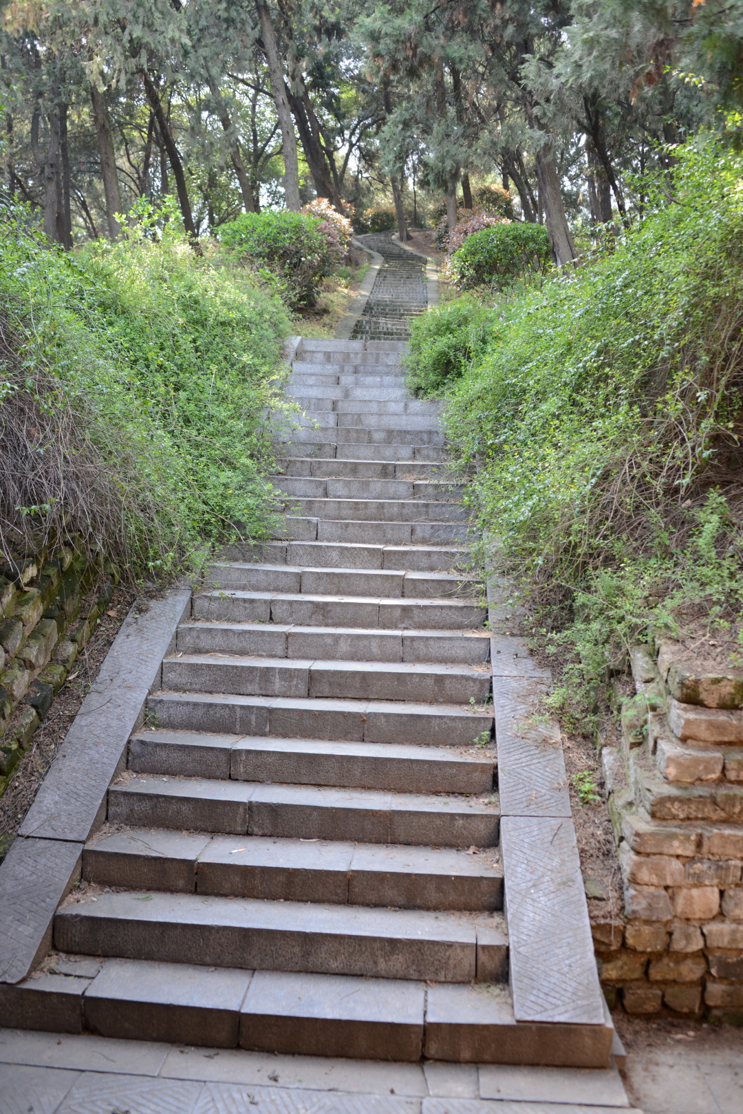 南阳诸葛书院,南阳卧龙岗诸葛书院