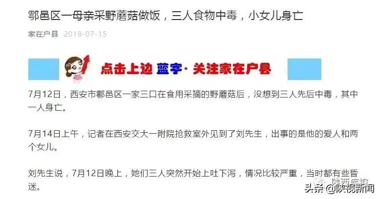 野生蘑菇吃的时候怎么辨别有毒,警惕野生蘑菇不能随便采谨慎中毒