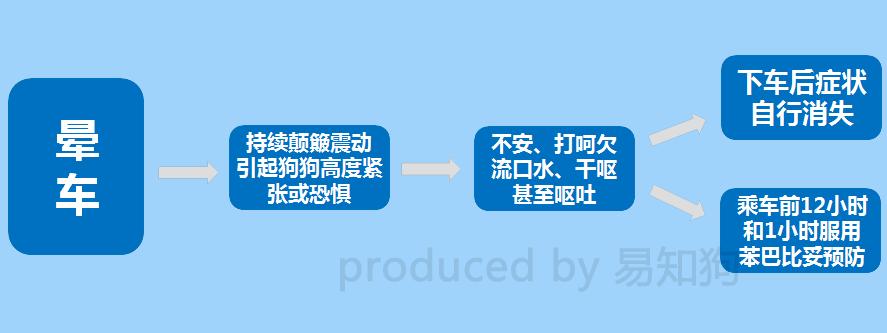 居家狗狗生活训练,日常护理狗狗皮肤不瘙痒