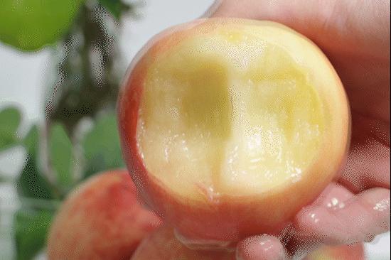 夏天可以吃什么水果解渴,夏季必吃的5种水果解暑又清凉
