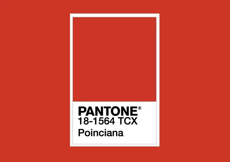 美到犯规的春装,2022春夏潘通发布流行色