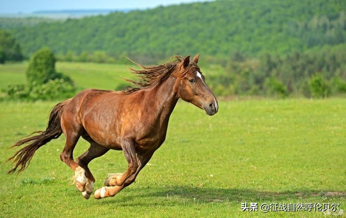 我来到你的城市走过你熟悉的街,我来到你的城市走过你走的路
