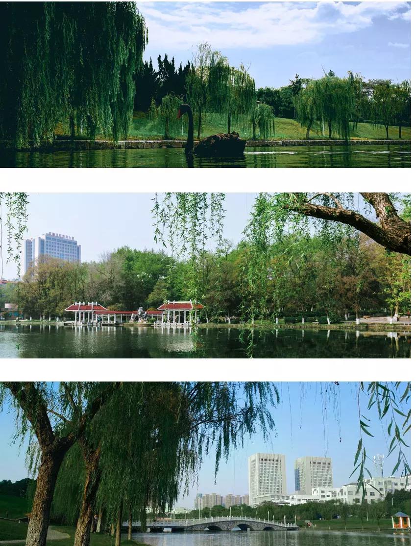 安徽合肥大学二本院校,安徽二本高校