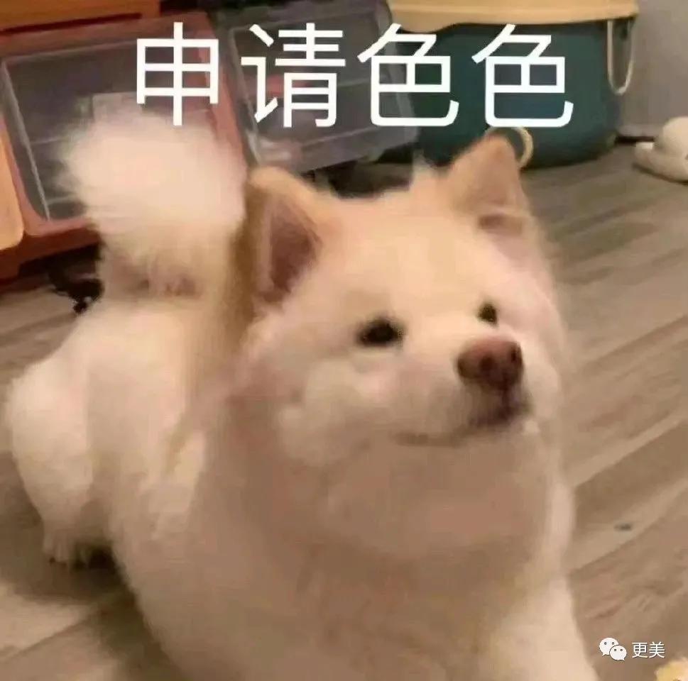 ab资源是什么,ab资源谁接手了