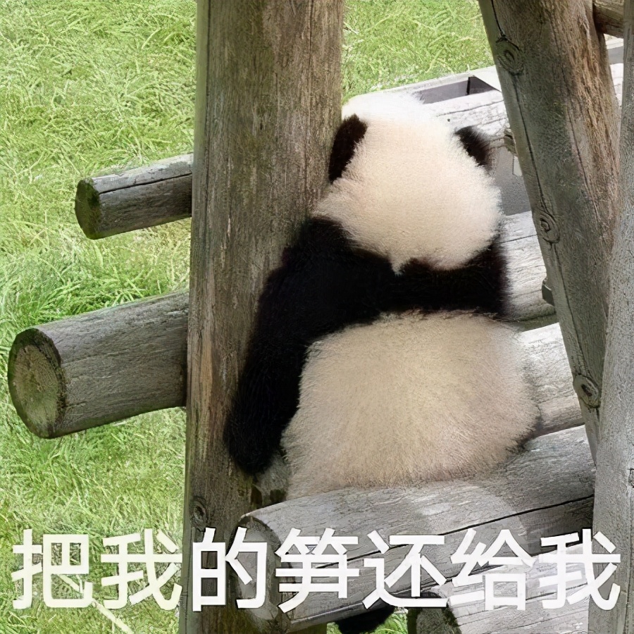 废物你除了睡觉还会干啥的表情包,混吃混喝做个快乐的废物表情包