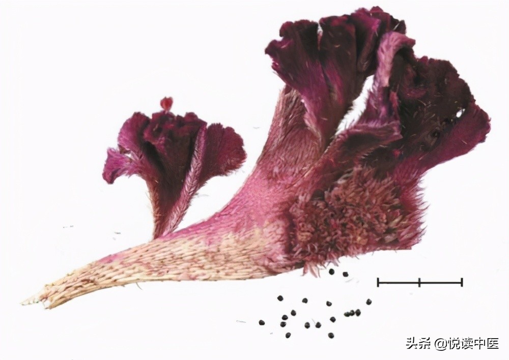 对女人好的药或保健品,对女人好的中药材有哪些