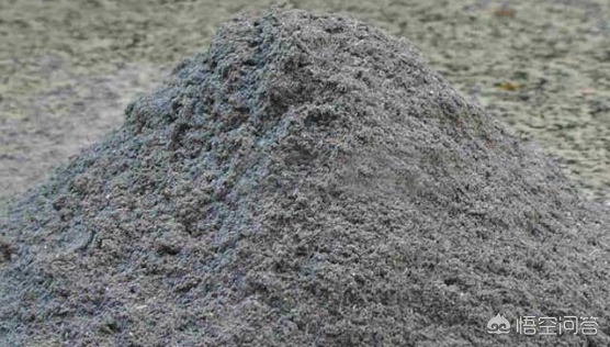 如何消灭果树中的虫,果树蛀虫怎么治最有效