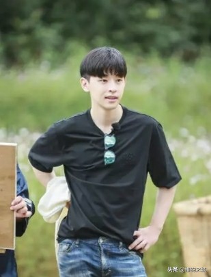 石家庄偷税漏税明星,石家庄走出的明星