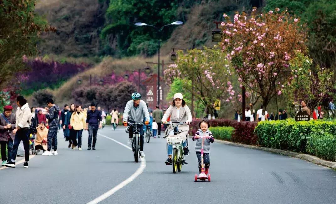 庆祝新中国成立70周年新闻报道,庆祝新中国成立70周年特辑宣讲