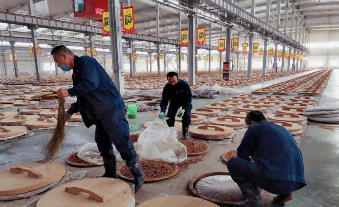鄂尔多斯人，喝鄂尔多斯酒