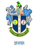 英格兰队徽壁纸,英格兰队徽图片蓝锁