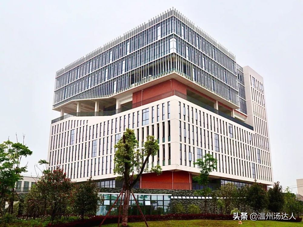 温州排名十个中学,温州高校排名一览表