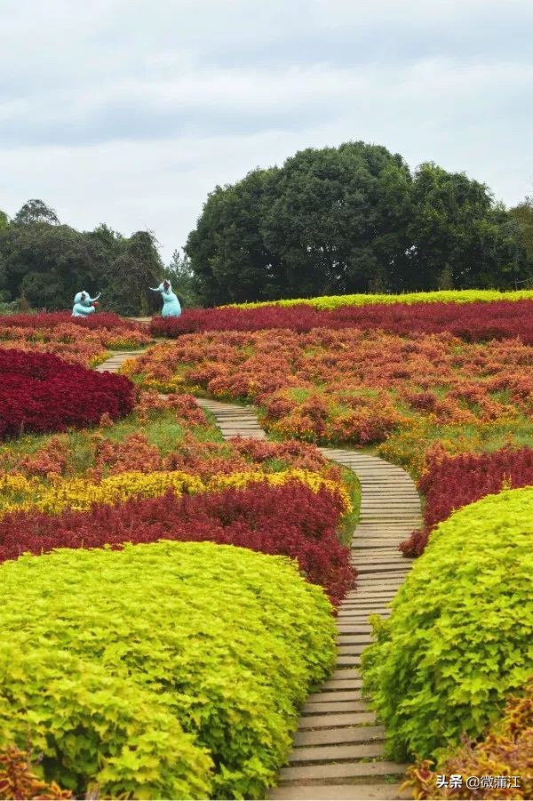 石象湖游览图片大全,石象湖自然风景