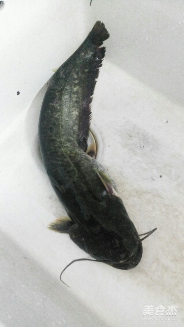 被误解最多的鱼其实它全身都是宝,常常被大家轻忽的鱼浑身是宝