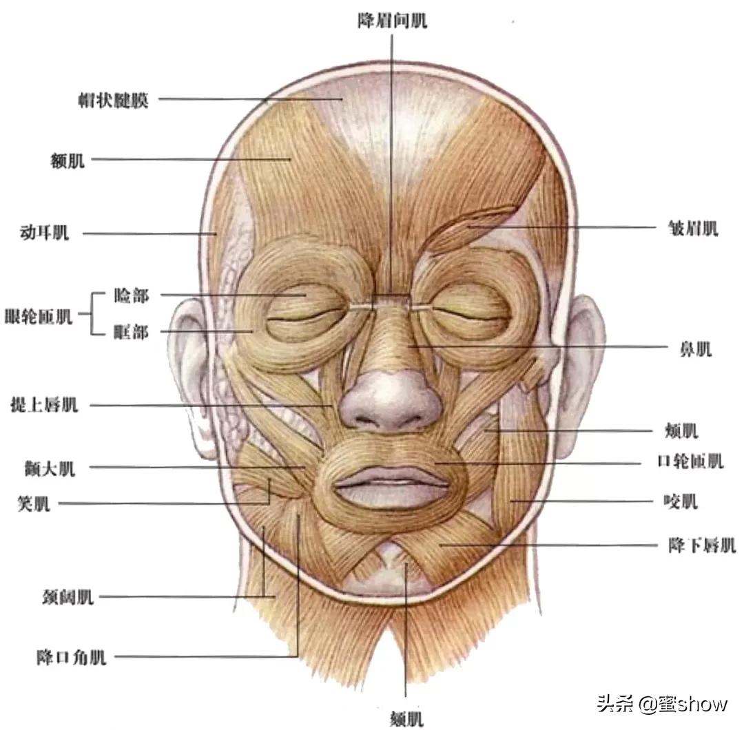 低成本变美攻略,悄悄变美的秘籍