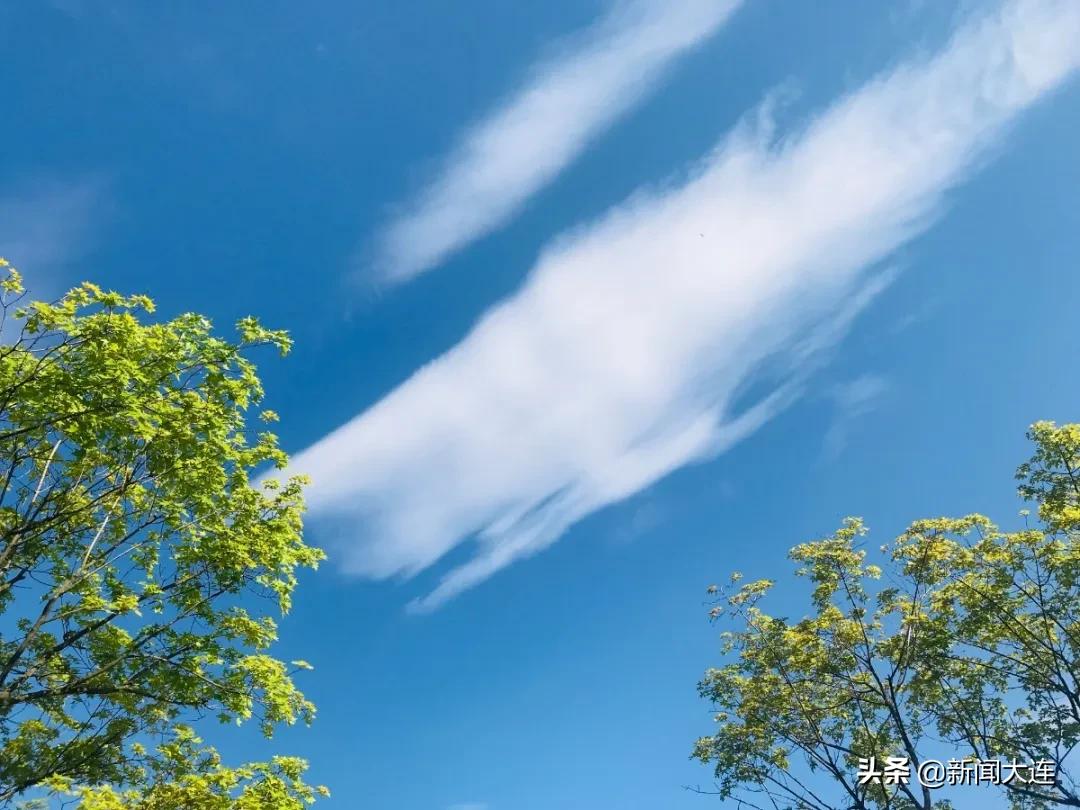 大连野餐必备,大连野餐推荐地点