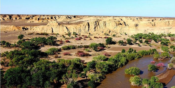 全新疆旅游景点排名,大新疆旅游景点攻略