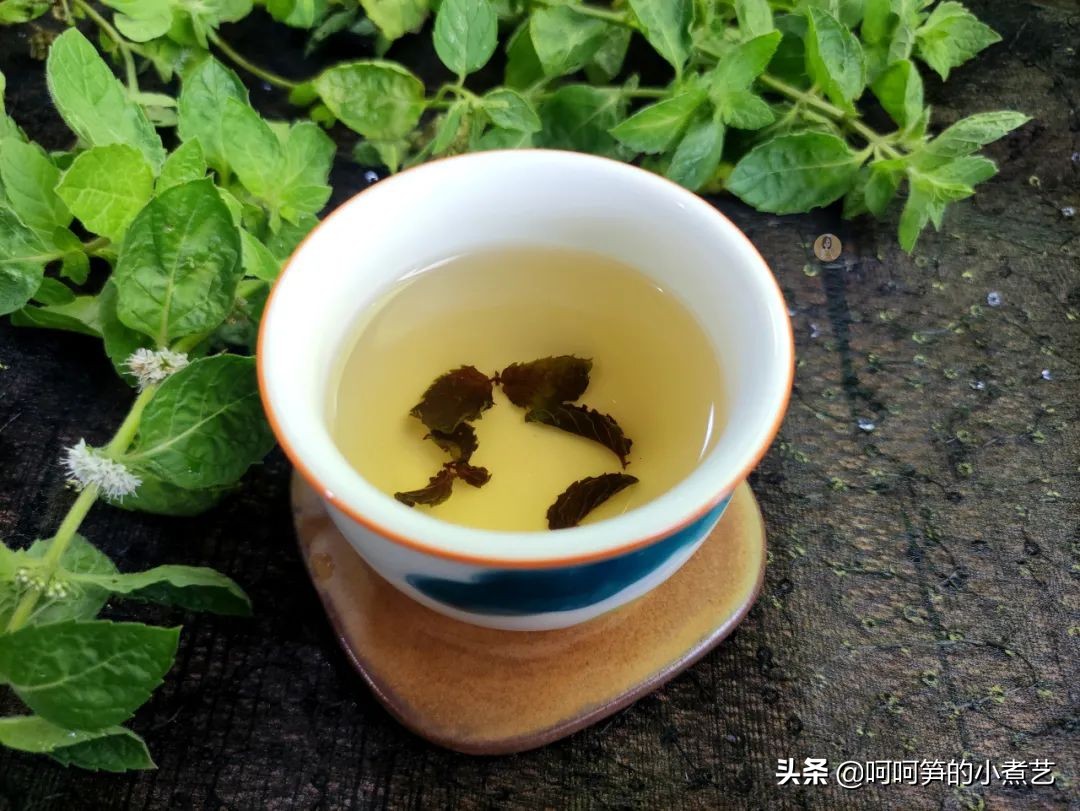 新鲜薄荷怎么弄茶,新鲜的薄荷叶怎么做才好吃