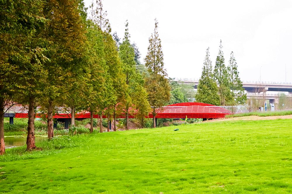 泸州新建的足球场有哪些,泸州大型公园