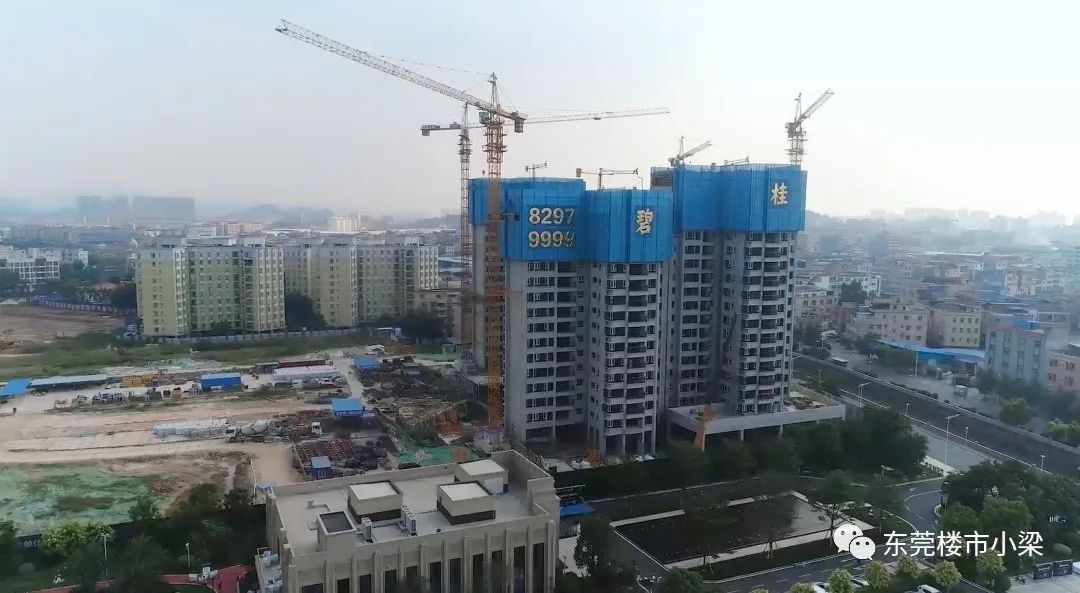 东莞市碧桂园玫瑰臻园,疫情后楼盘首开