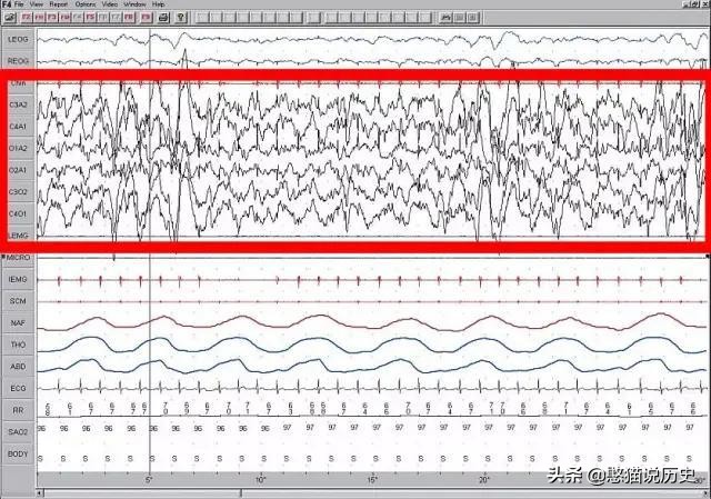 无脚鸟古人,无脚鸟世界上有什么鸟