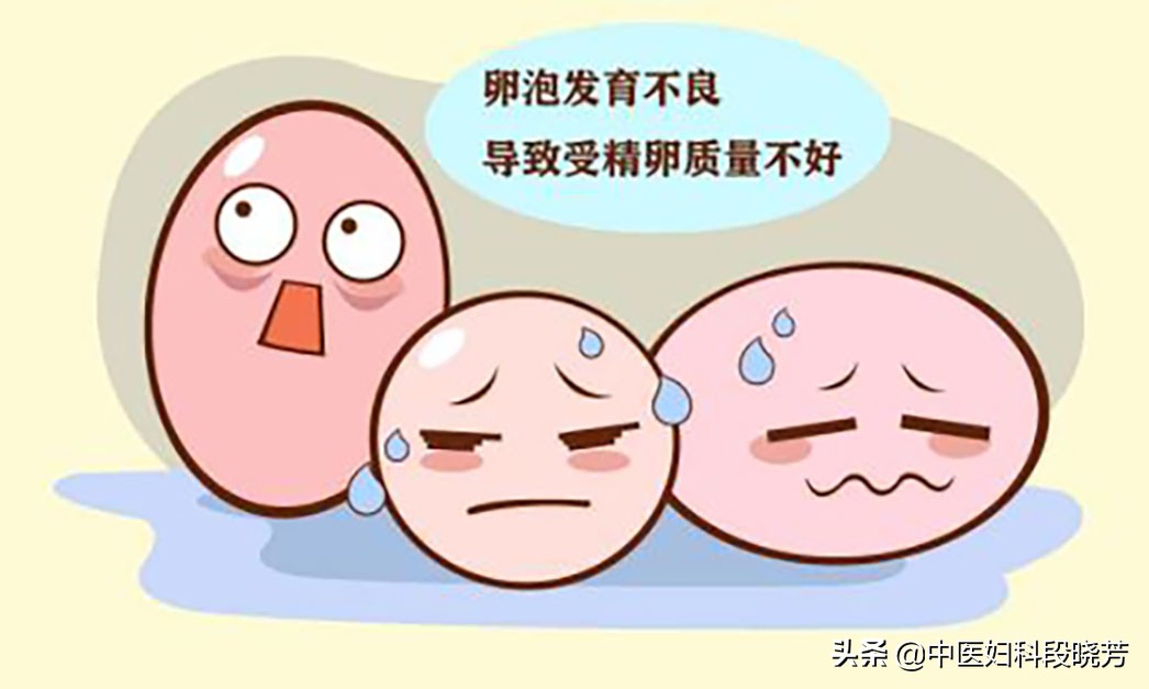 段晓芳治多囊怎么样,多囊卵巢如何检查受孕难易