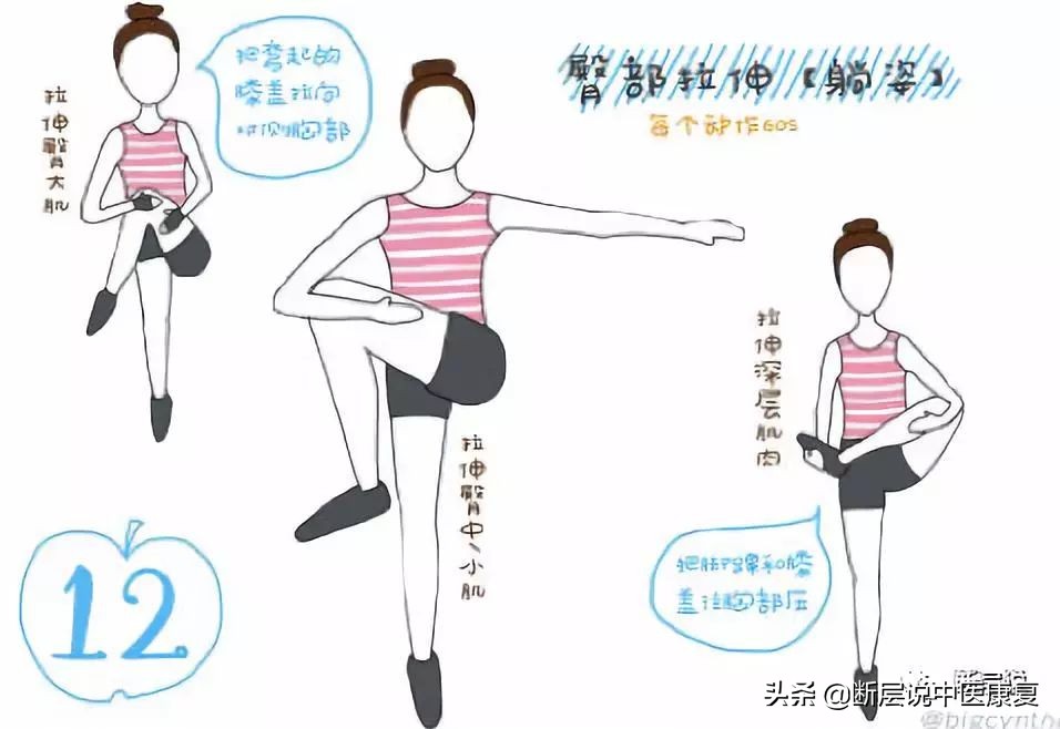 每日一肌臀中肌,每日一肌股四头肌