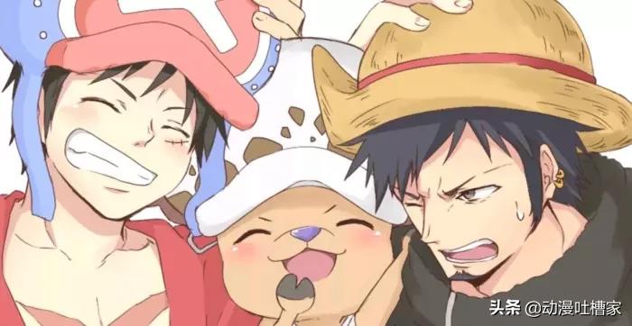 海贼王新世界中的船医们,海贼王新世界所有船员