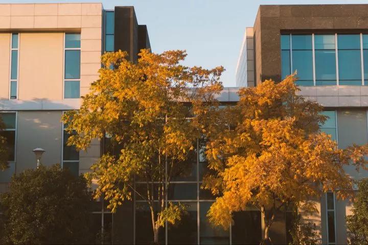 江苏昆山杜克大学图片,昆山杜克大学堪比985