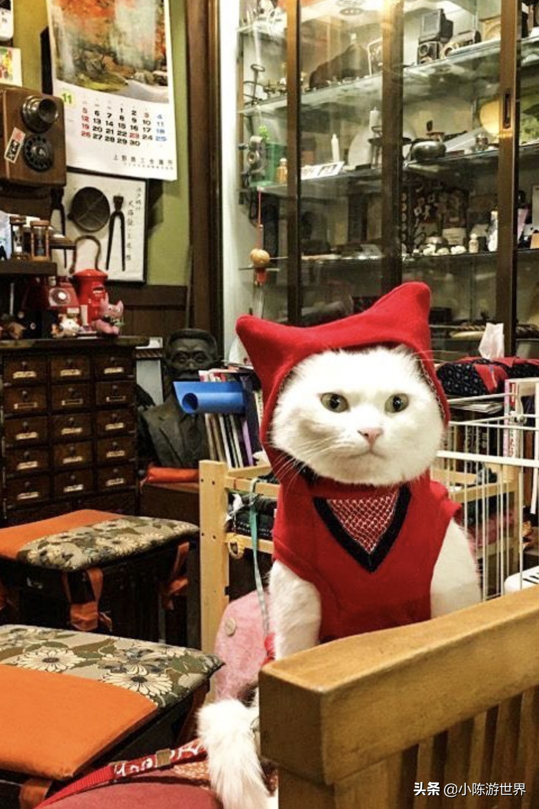 日本赴华旅行,日本赴中国旅游