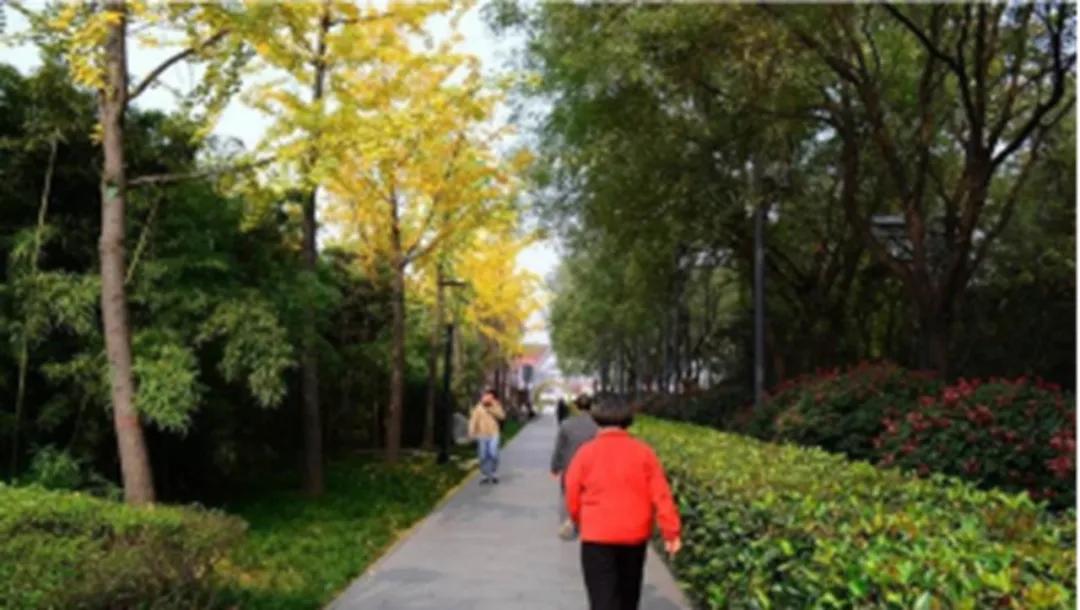 西安夜跑最佳路线图,西安九大夜跑路线