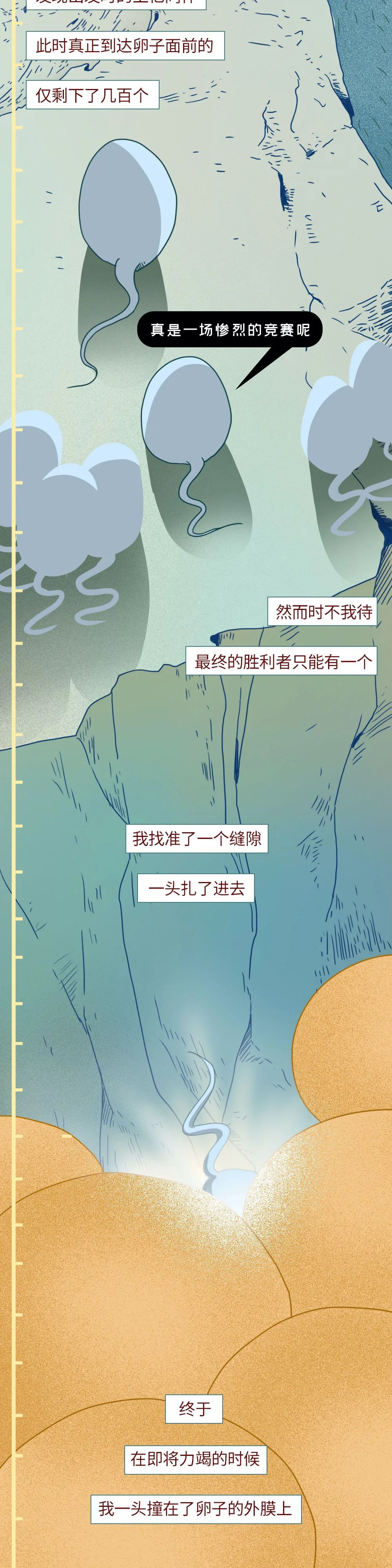 男性精子在体内存活时间,精子在体内的存活率几天