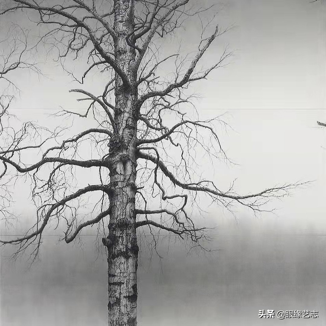 1440个小时的涅槃之画：黎明之树，佐藤裕一郎的心之风景