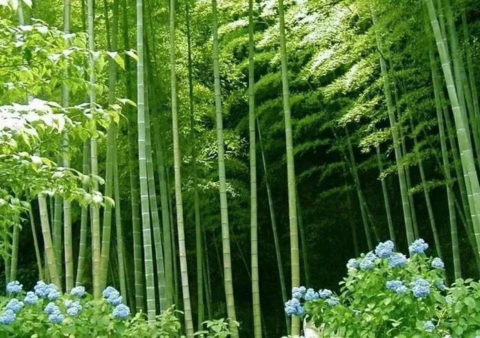 鐚涜檸鏂囧寲,椤剁骇绔瑰埢鑹烘湳娆ｈ祻