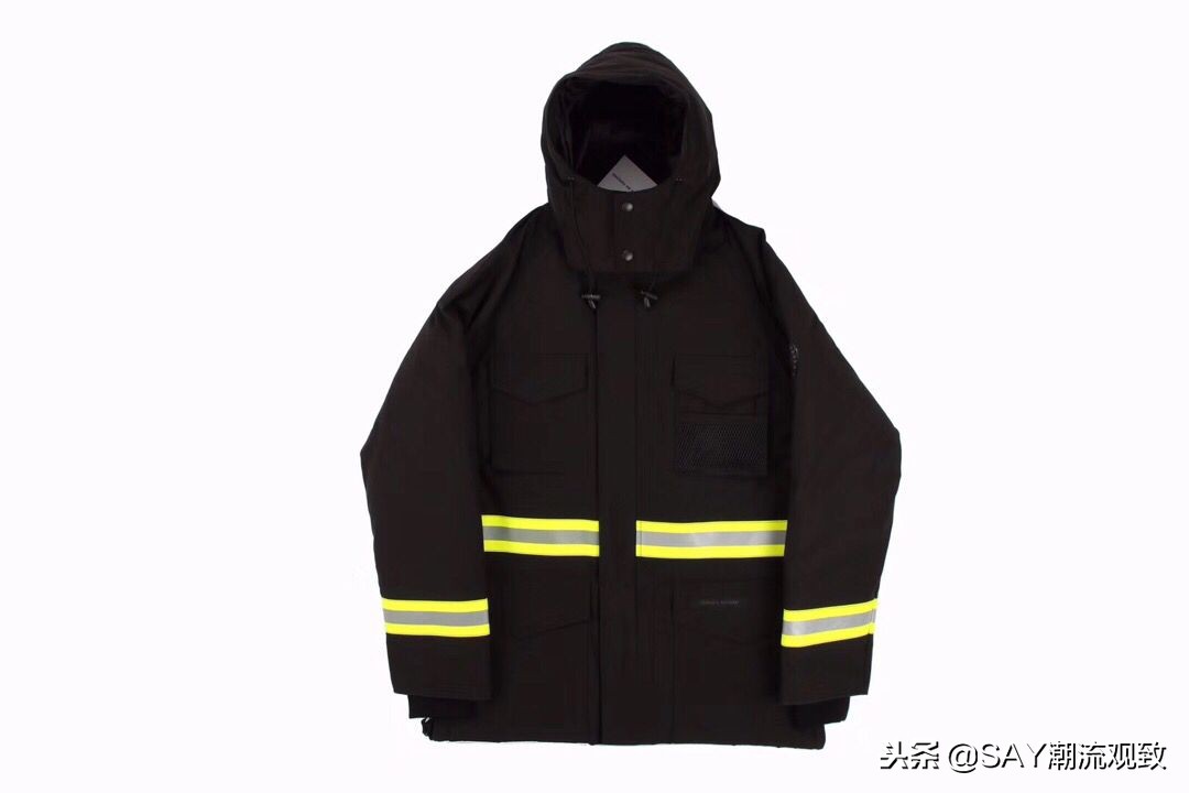 大鹅怎么出名的,今年为什么流行大鹅羽绒服