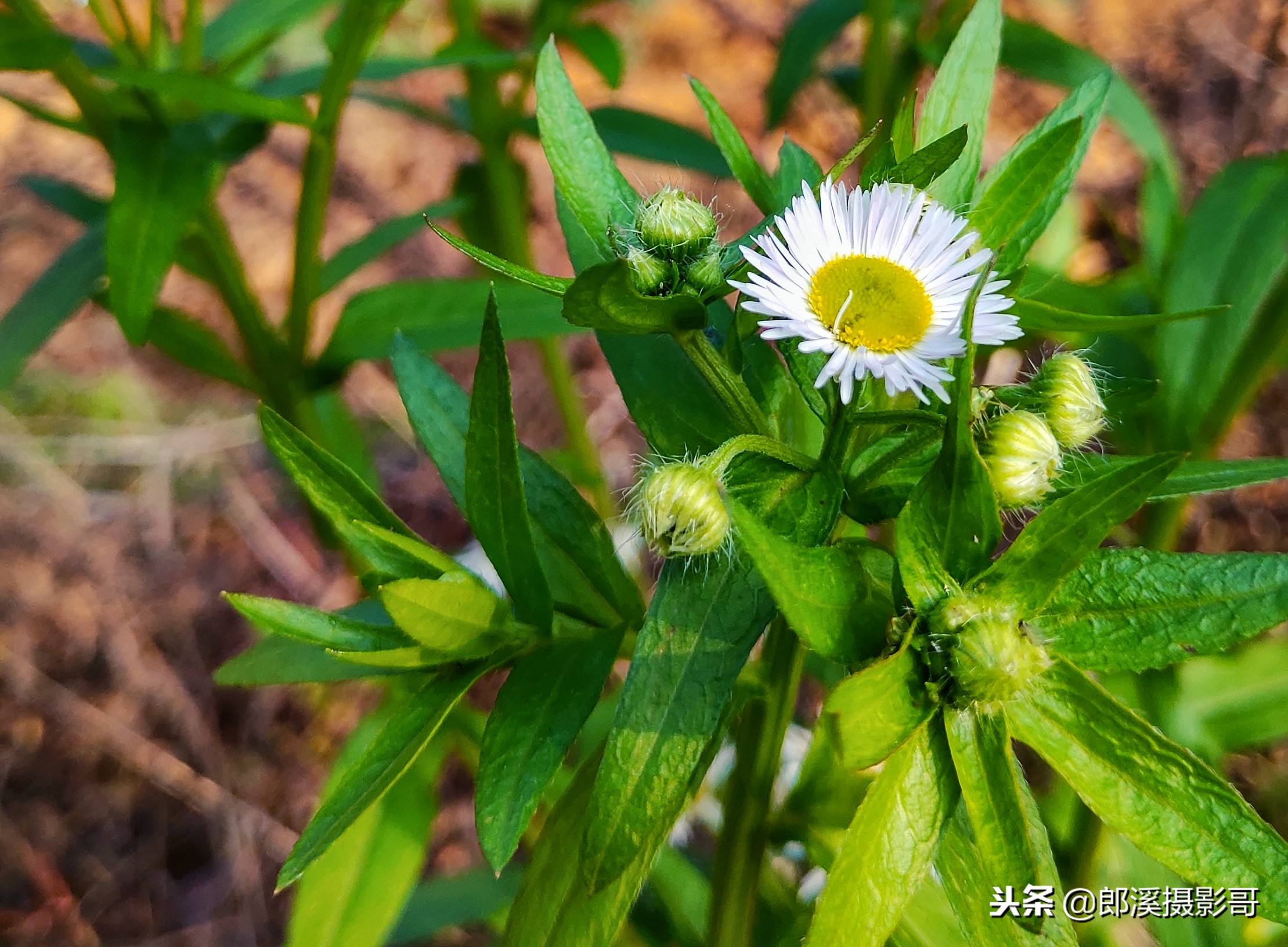 手机照相删除的视频怎么恢复,废旧手机里面的照片怎么处理