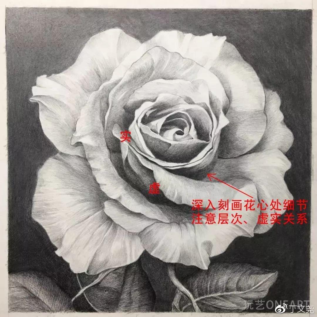 素描基础绘画教程郁金香,素描丁程鑫详细教程