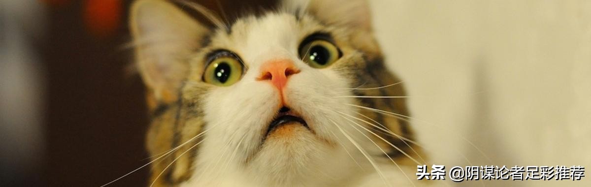 每日竞彩推荐：C罗驾到！欧国联盘口实战—葡萄牙VS瑞士