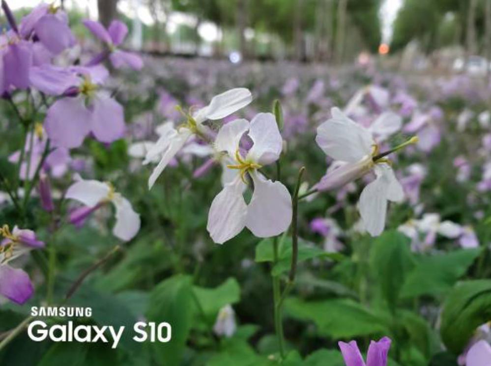 三星galaxys10打游戏,三星galaxys10哪些地方惊艳到你