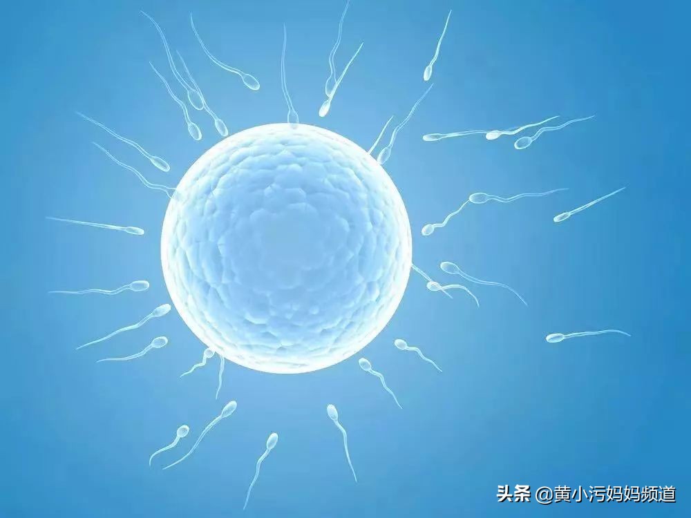 39岁张柏芝三胎都得子！原来真的有生男体质？