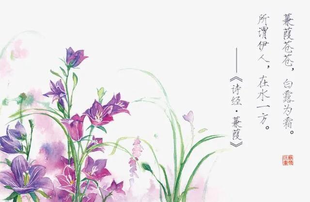 执子之手诗经典语录,诗经中对执子之手与子偕老的感悟