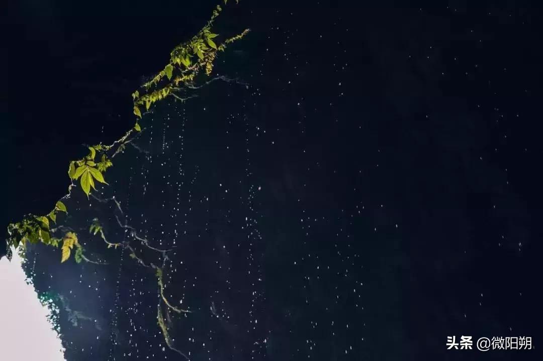 广西最好避暑的县城,广西那边热吗