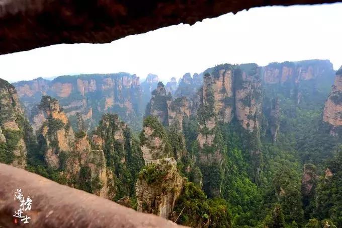 去张家界自助游攻略,张家界免门票自助游攻略图片真实