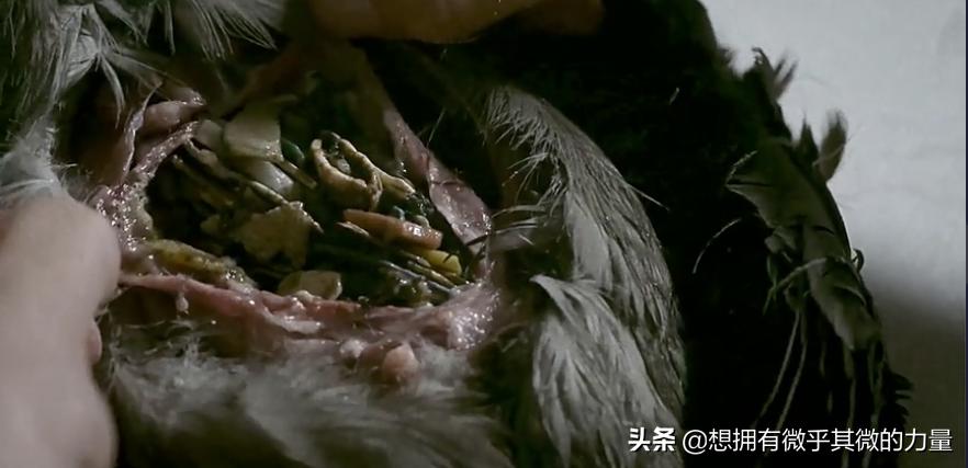 人生奇遇真实故事,人生奇遇真实视频